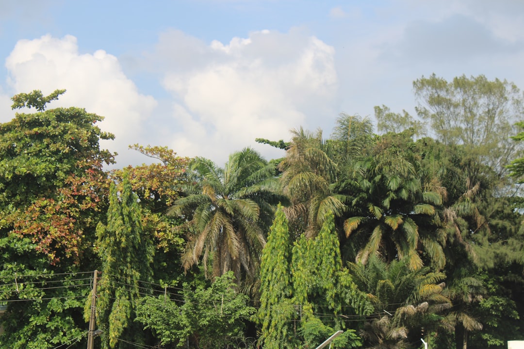 Discover Nigeria's Top Shopping Destinations: From Authentic Souvenirs to High Fashion Hubs