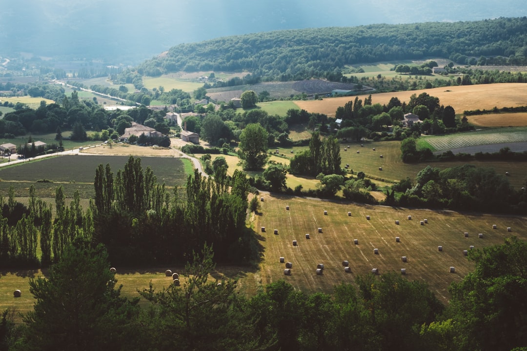 How to Experience France Like a Local, Not a Tourist