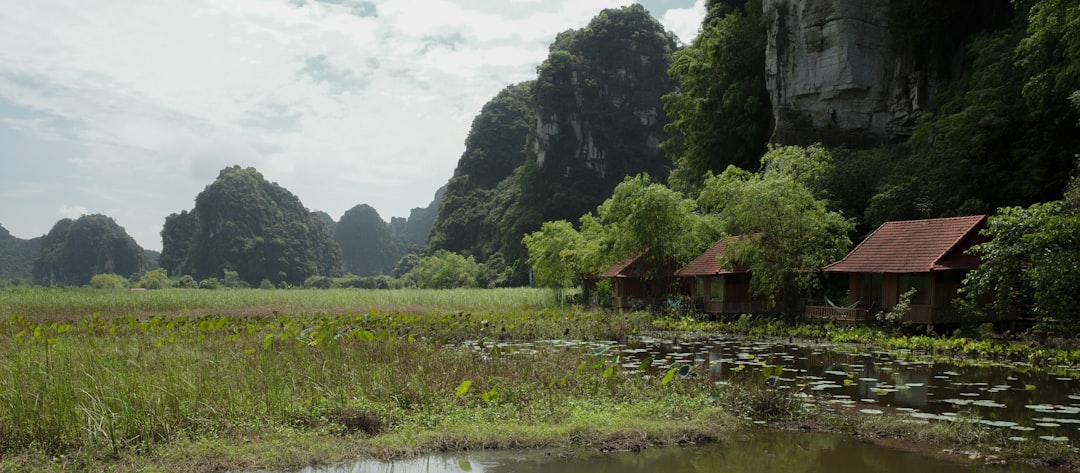 Unplug & Reconnect: Asia's Ultimate Digital Detox Destinations