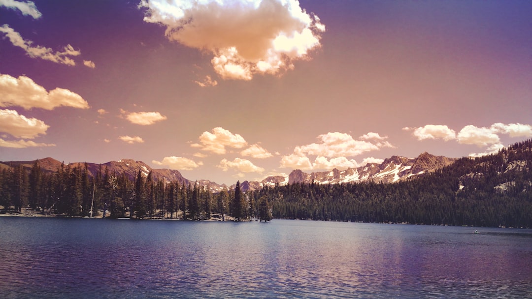 Ultimate USA Souvenir Guide: Top 10 Must-Buy Gifts & Keepsakes