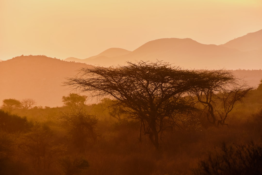 Understanding Africa: Essential Cultural Etiquette for Tourists