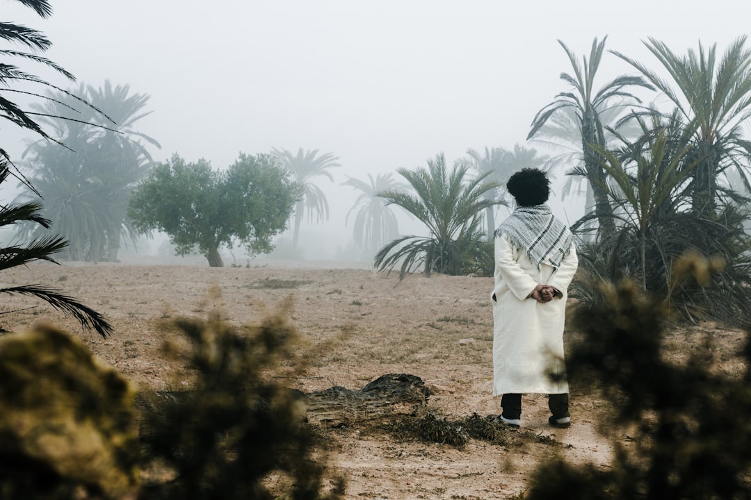 Unveiling Tunisia's Architectural Wonders: An Architect's Guide to Must-See Buildings