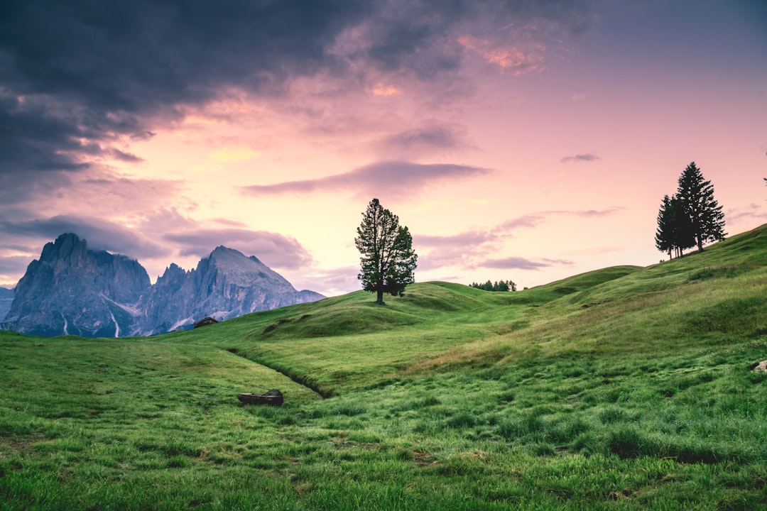 Europe on a Budget: Your Ultimate Guide to Finding the Best Accommodation Deals