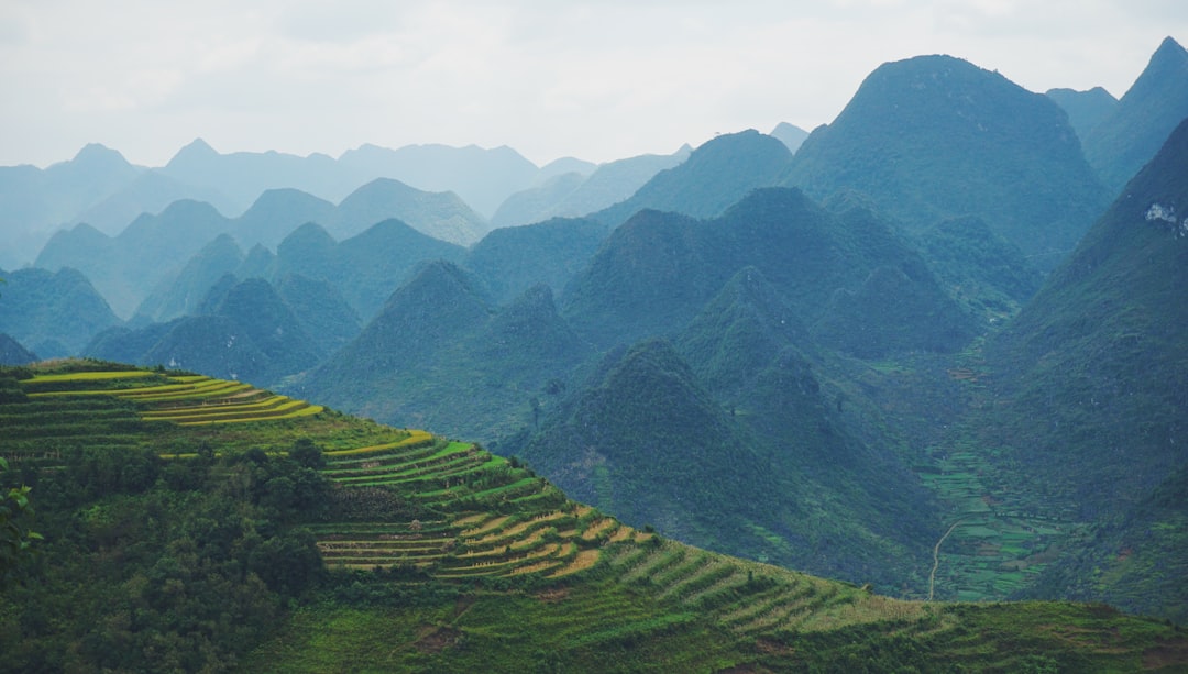 Vietnam Holiday Travel Guide: What to Expect During Peak Season