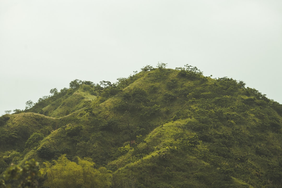 Your Essential Guide to Navigating Local Post Offices in Jamaica