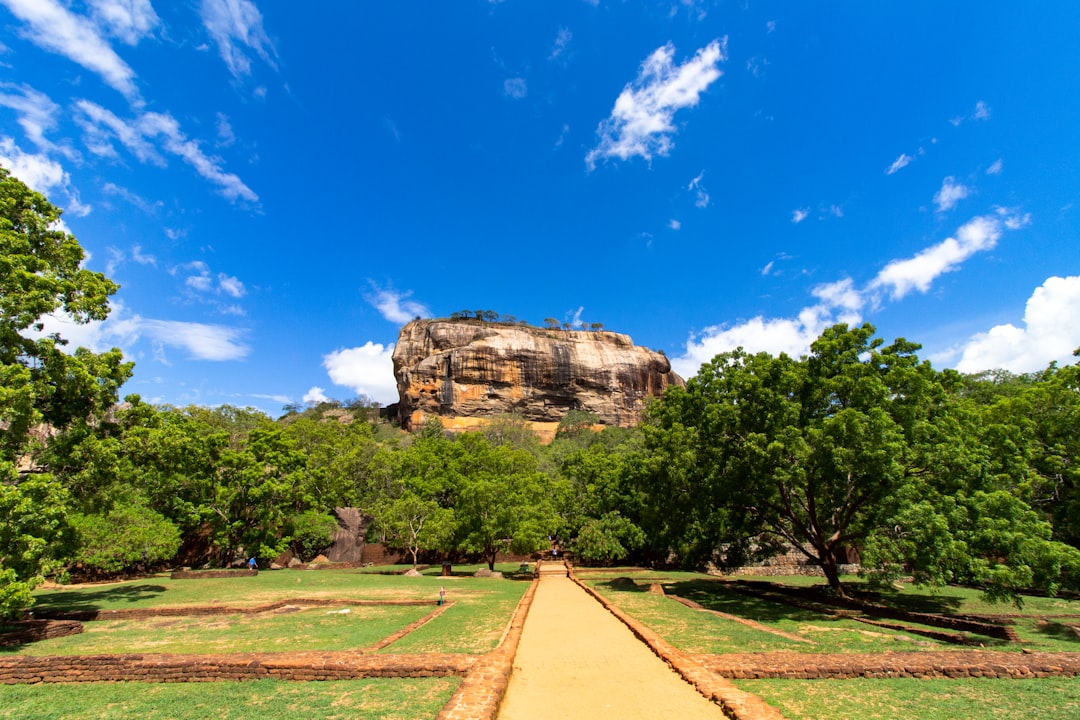The Best Places to Experience Traditional Festivals in Sri Lanka