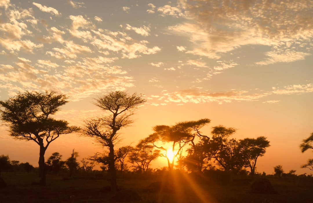 Unlocking Senegal's Best: When to Visit for Absolutely Perfect Weather