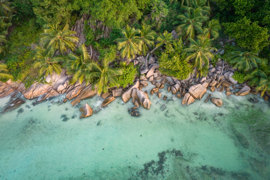10 Facts About Seychelles That Will Surprise You