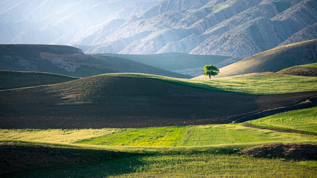 Navigating Iranian Daily Life: Your Ultimate Guide to Local Delivery Apps