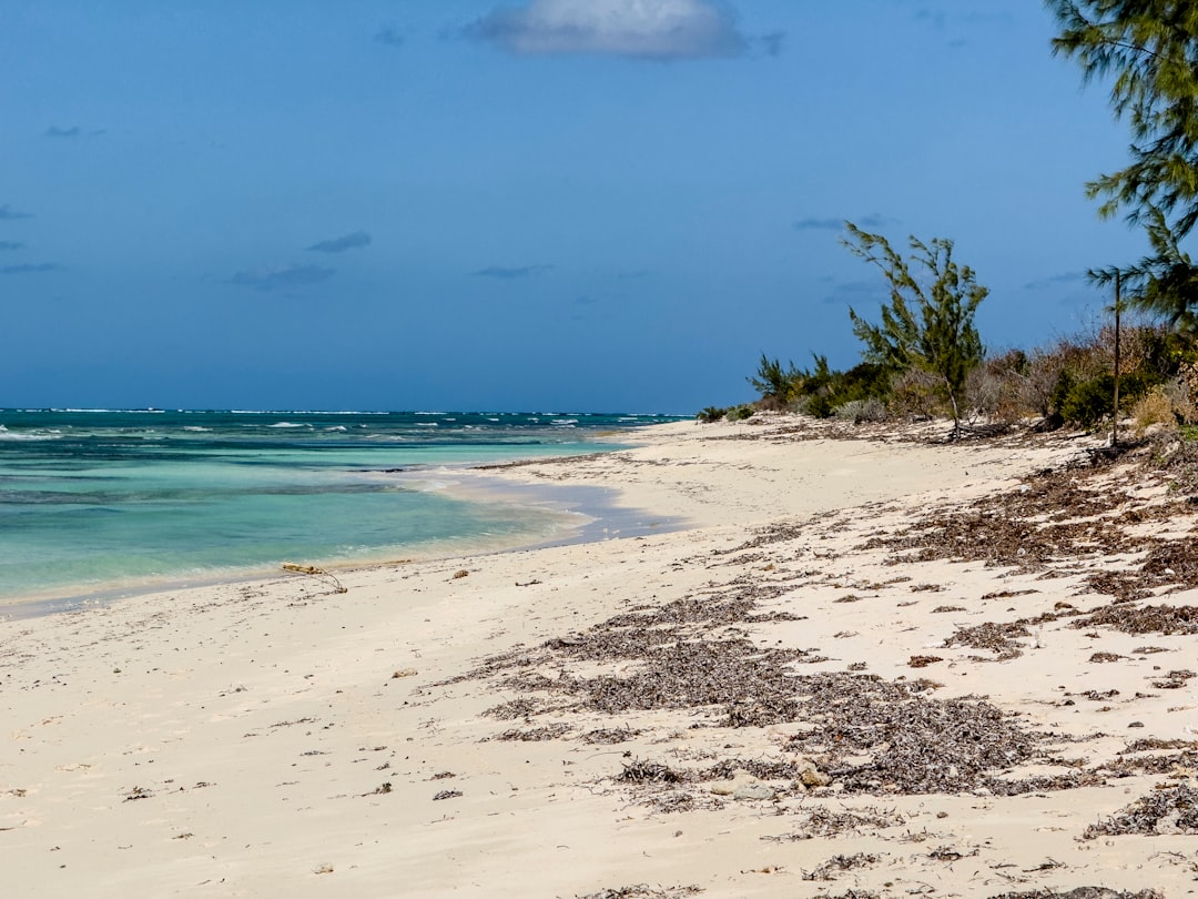 Top Morning Runs in Turks & Caicos: Scenic Routes for Every Runner