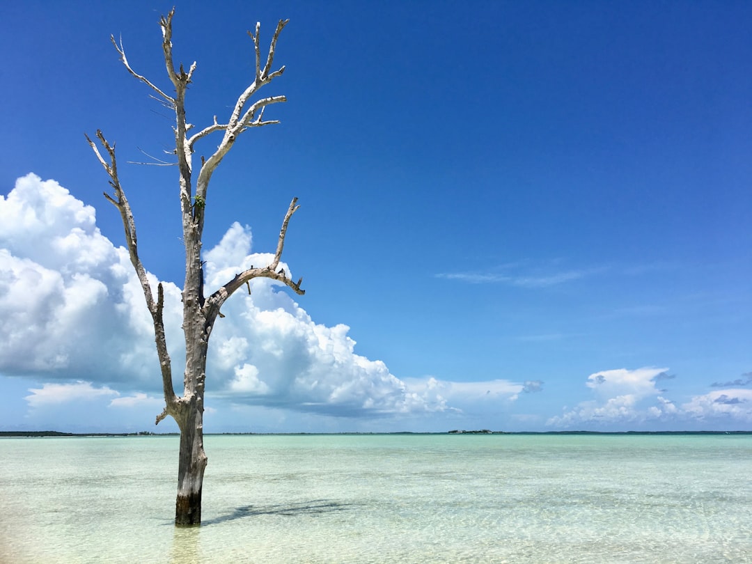 Discover the Bahamas' Iconic Ports & Harbors: Your Ultimate Guide