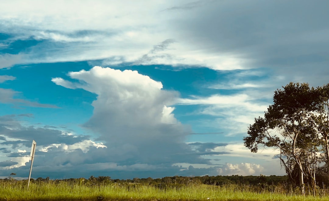 Guyana for Digital Nomads: Unveiling the Best Cities for Remote Work