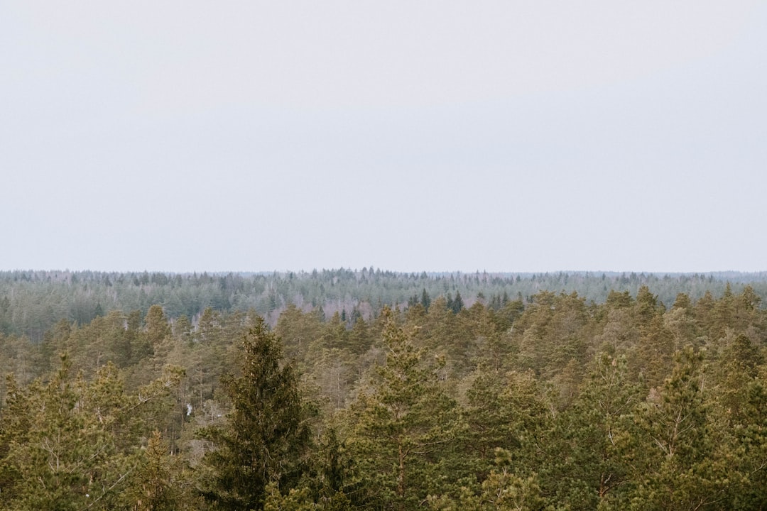 Discover Latvia's Cultural Gems: Top Museums & Art Galleries You Must Visit