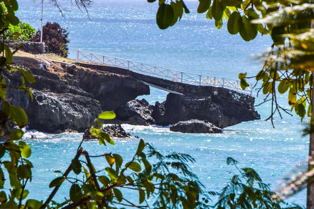 Discover Trinidad & Tobago: Unforgettable Hiking and Adventure on the Caribbean's Most Scenic Trails