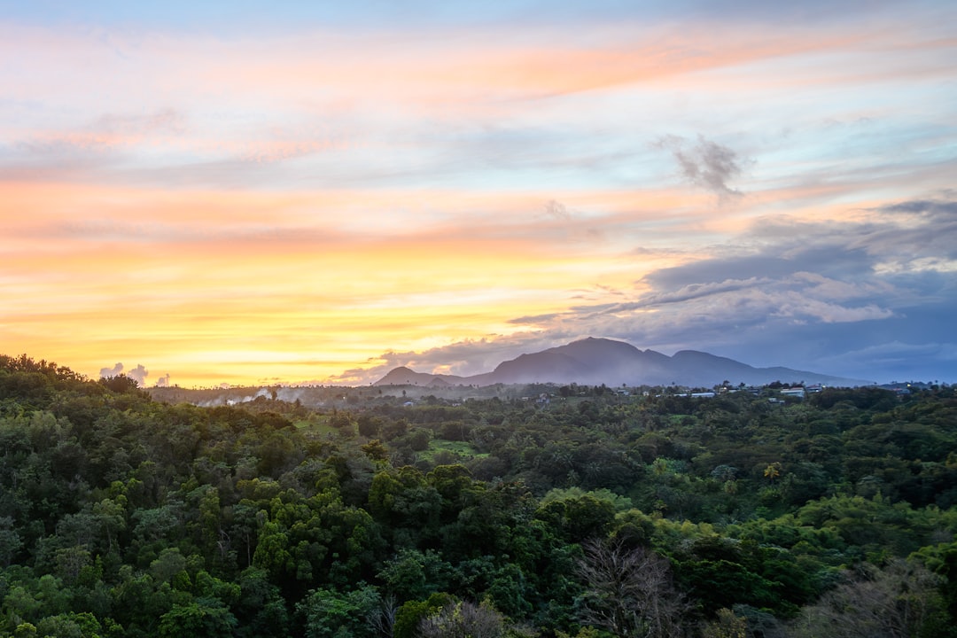 Your Ultimate Guide to Using Vending Machines in Dominica