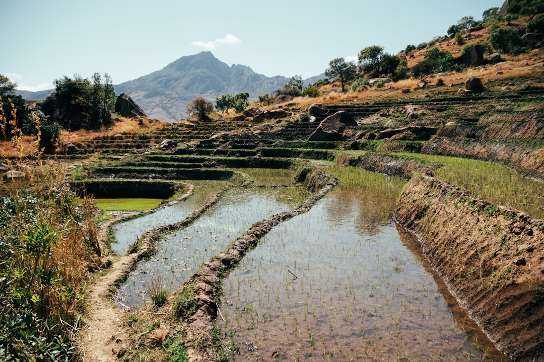 Madagascar's Exquisite Traditional Crafts: Your Ultimate Guide to Authentic Souvenirs