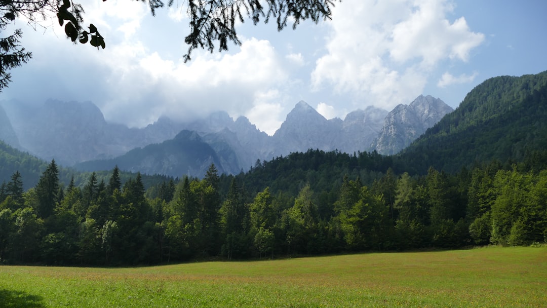 The Best Places to Experience Traditional Festivals in Slovenia