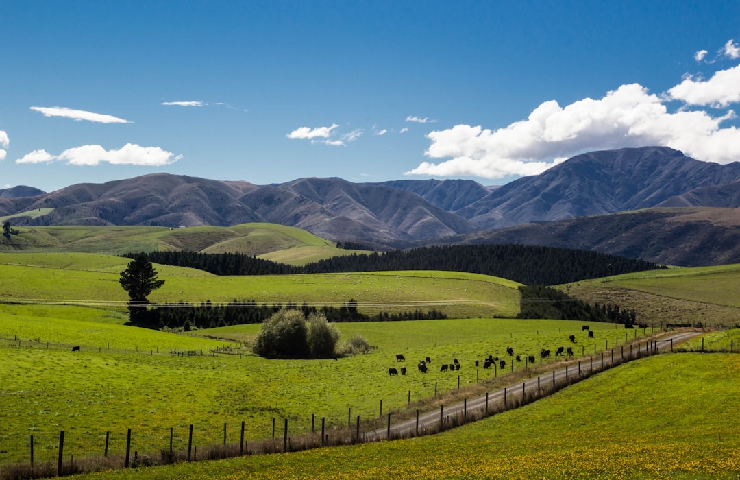 Discover New Zealand's Most Vibrant & Colorful Towns | A Traveler's Guide