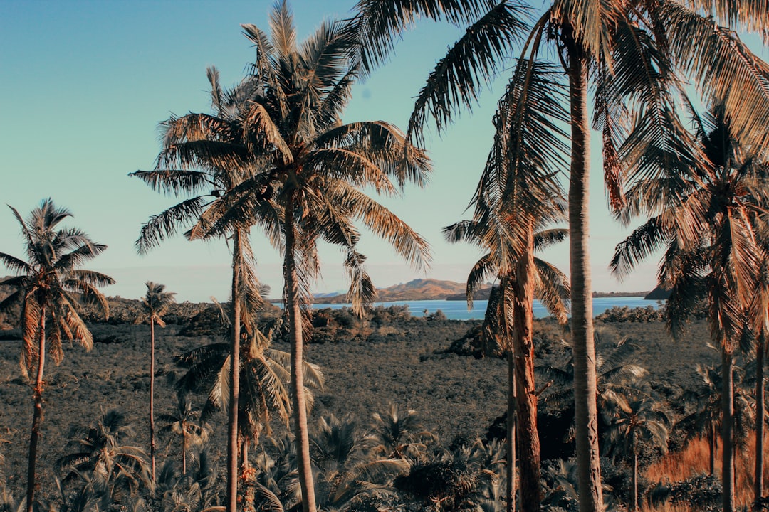 Discover Fiji's Hidden Gems: Best Riverside Walks & Unforgettable River Cruises