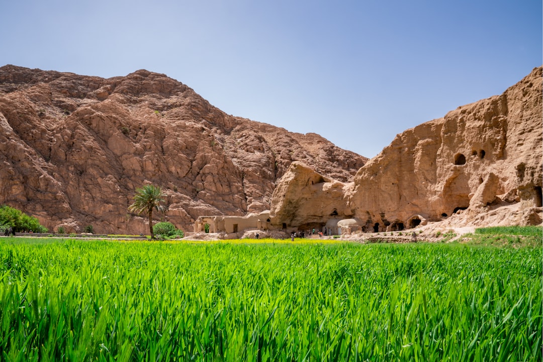 How to Volunteer Ethically While Traveling in Iran: A Responsible Traveler's Guide
