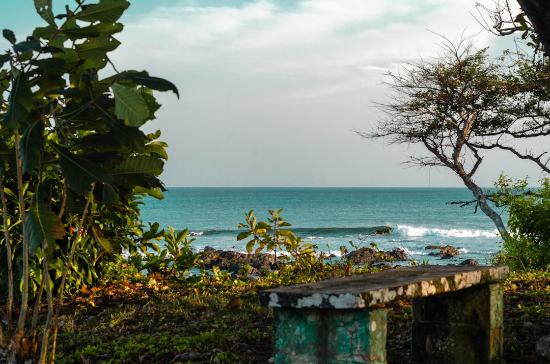 A Guide to Eco-Friendly and Sustainable Travel in Panama