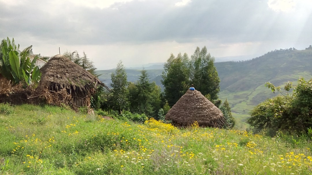 Discover Ethiopia's Dynamic Street Art Scene: Your Ultimate Urban Explorer's Guide
