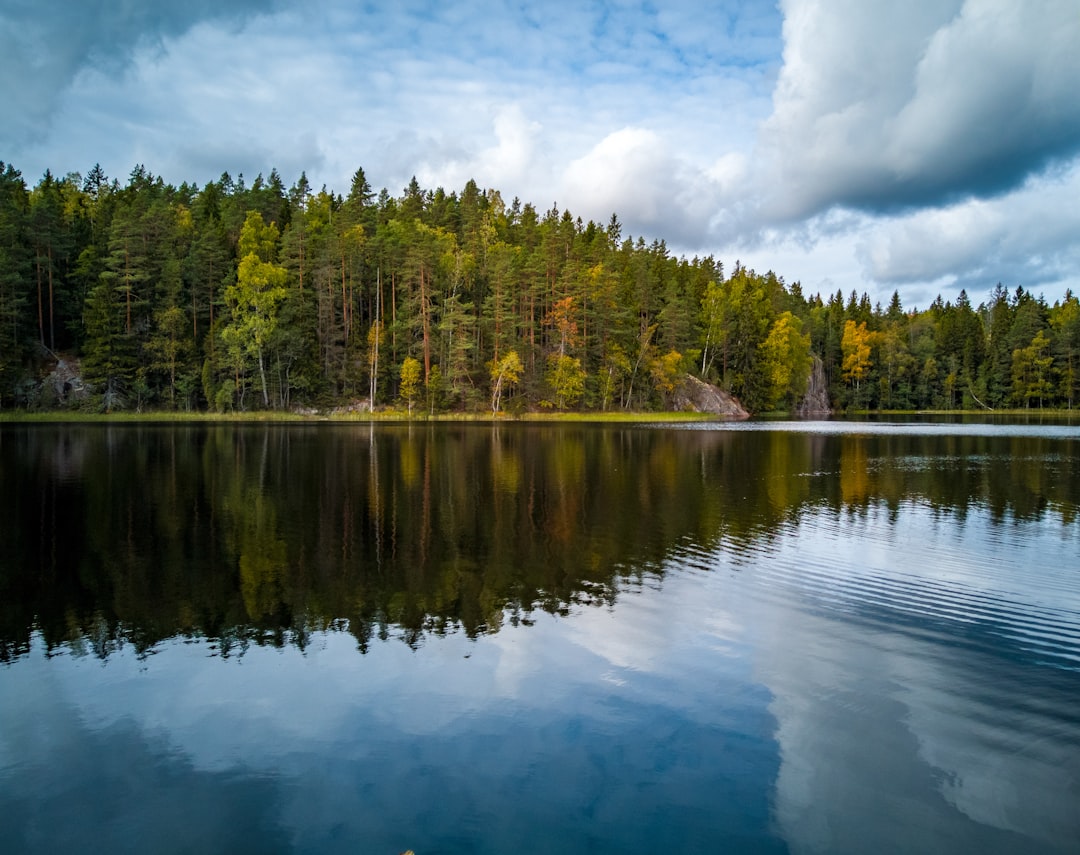 Finland's Crucible: Unveiling Its Most Important Historical Battles