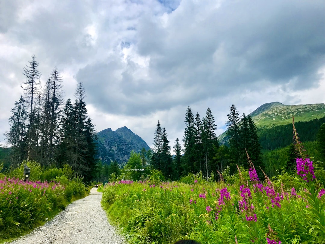 Discover Slovakia's Cinematic Landscapes: Your Guide to Famous Filming Locations