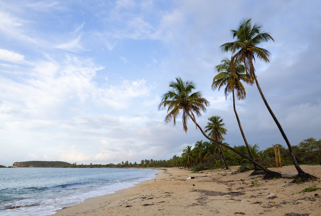 Experience the Vibrant Soul: Your Guide to Puerto Rico's Best Traditional Festivals