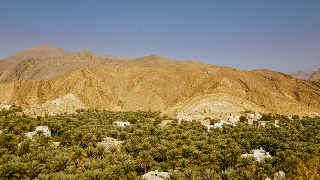 The Best Places for a Picnic with a View in Oman