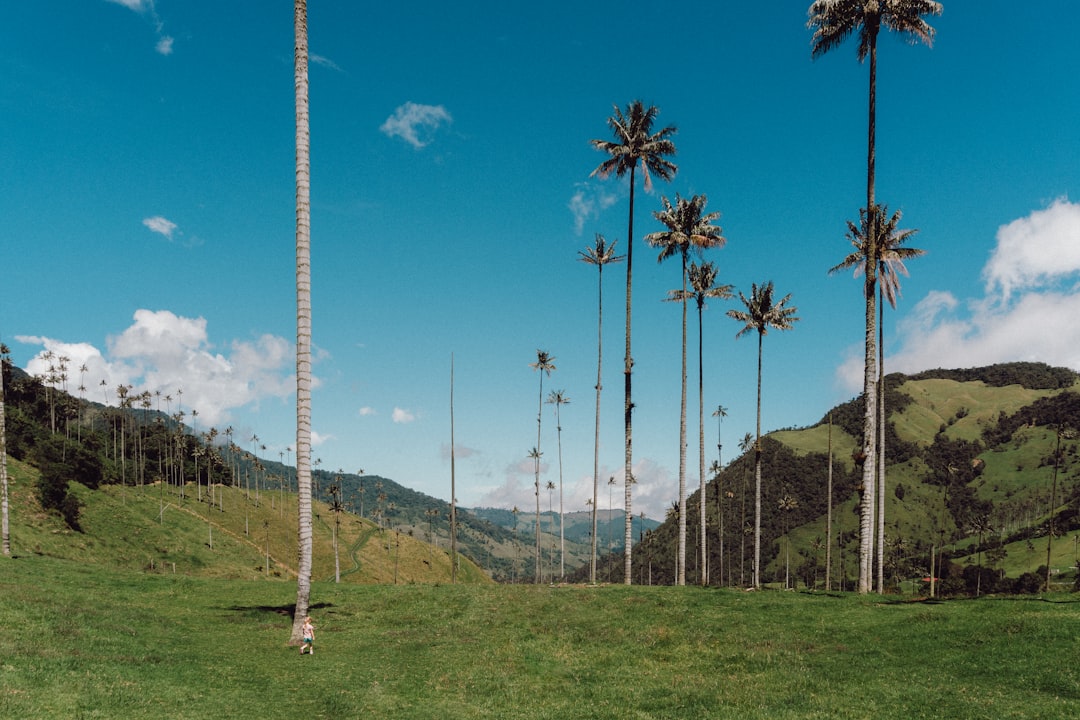 Uncover Colombia's Artistic Soul: Top Local Craft Workshops for Tourists