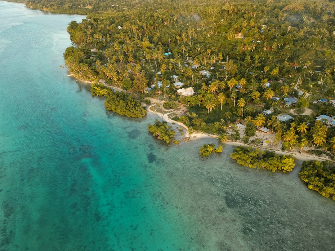 Unveiling Vanuatu's Warrior Past: A Deep Dive into Its Most Impactful Historical Battles
