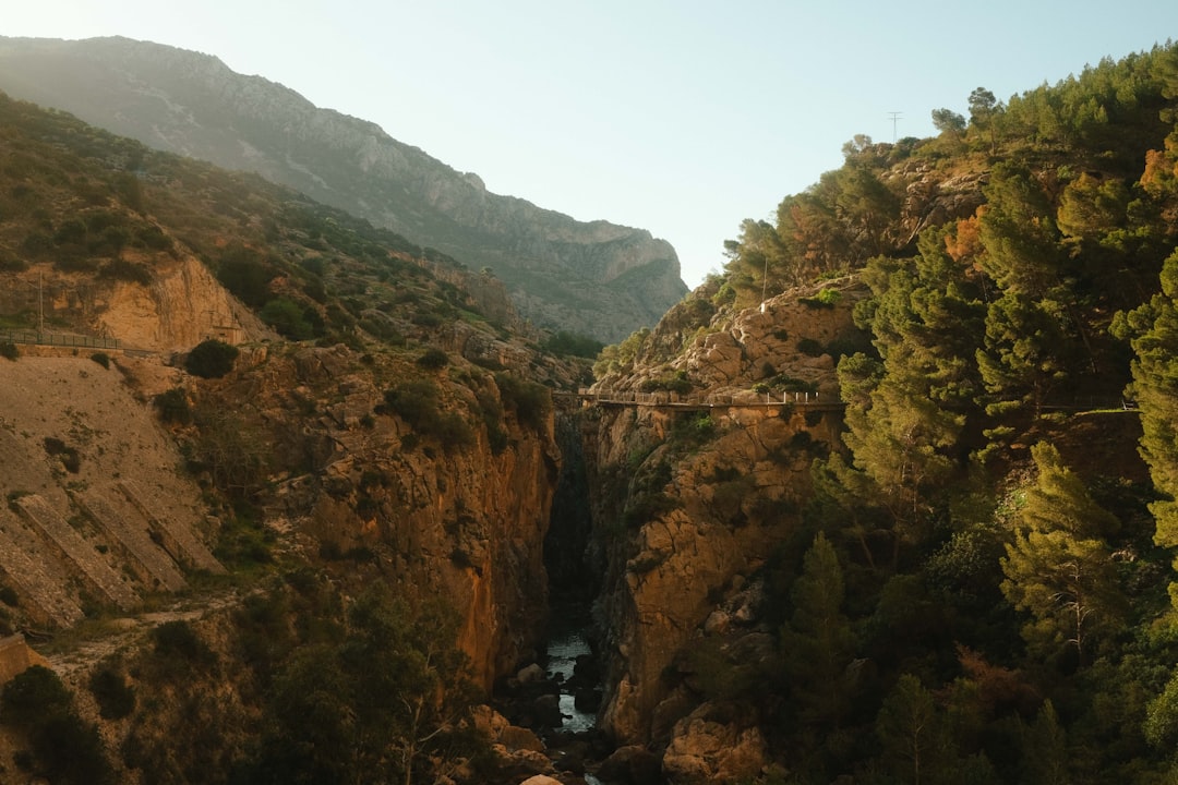 Unlock Spain Like a Local: Your Essential Guide to Must-Have Travel Apps