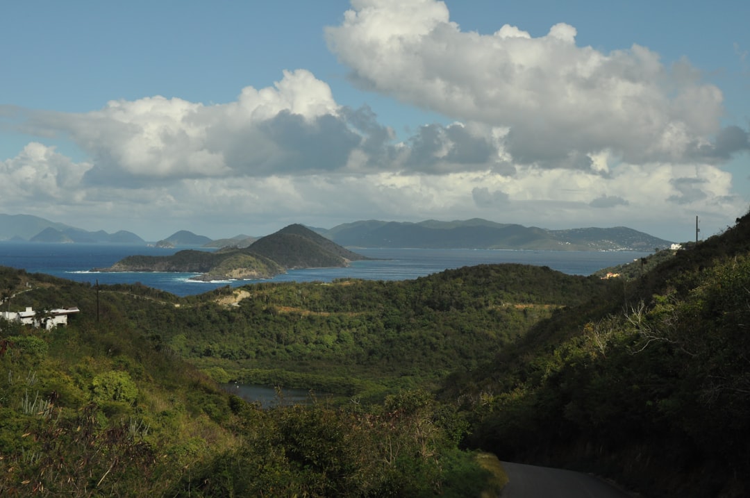 Discover Nature's Gems: The Best Wildlife Spotting Destinations in the British Virgin Islands (BVI)