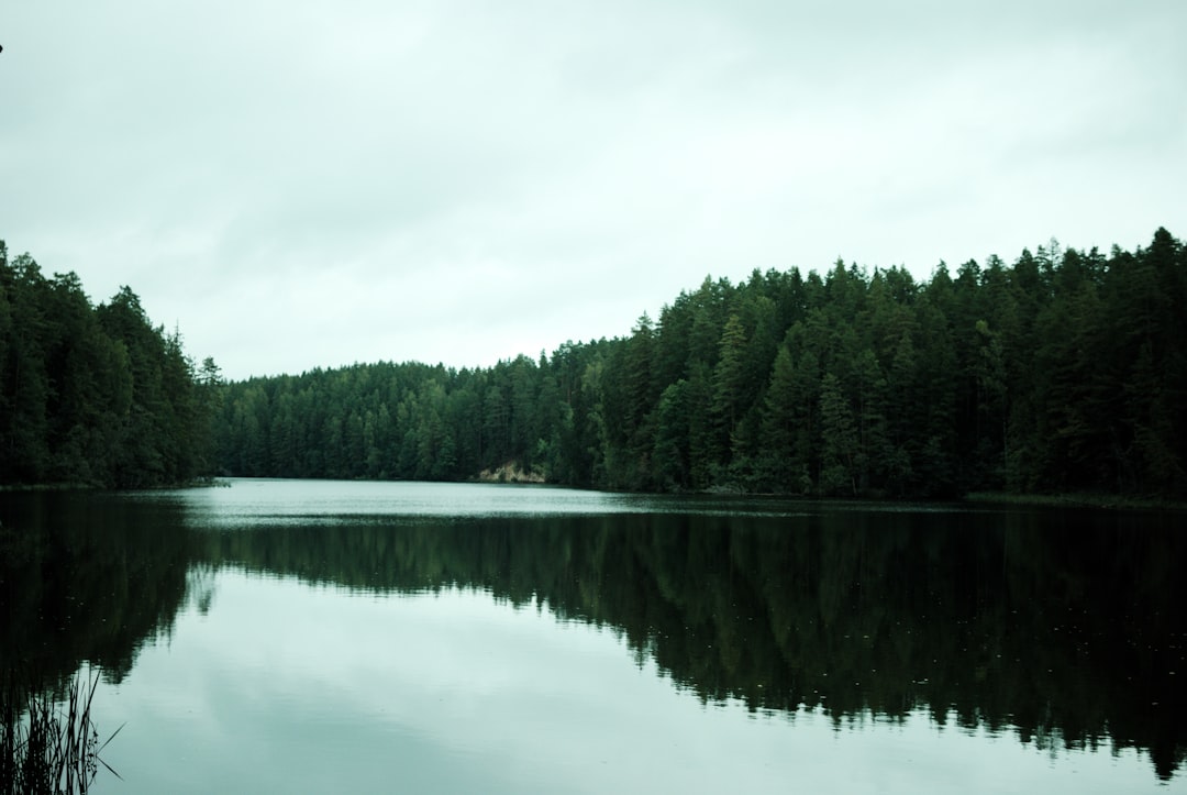 The Best Places for a Picnic with a View in Estonia