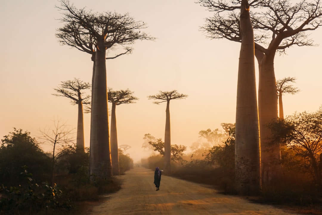 A Guide to the Most Iconic Fountains in Madagascar