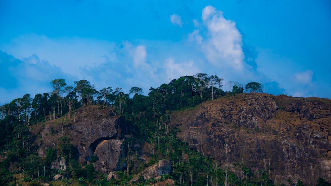 Unlock Authentic Cameroon: Your Guide to Finding Top Local Tour Guides