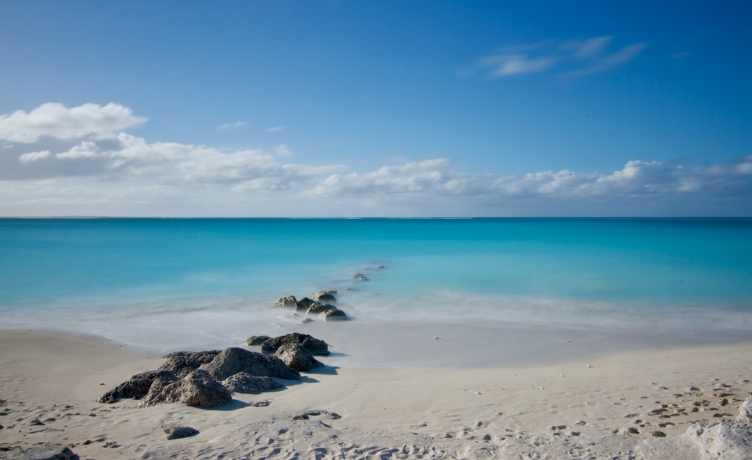 A Culinary Journey: Must-Try Traditional Dishes in Turks and Caicos Islands