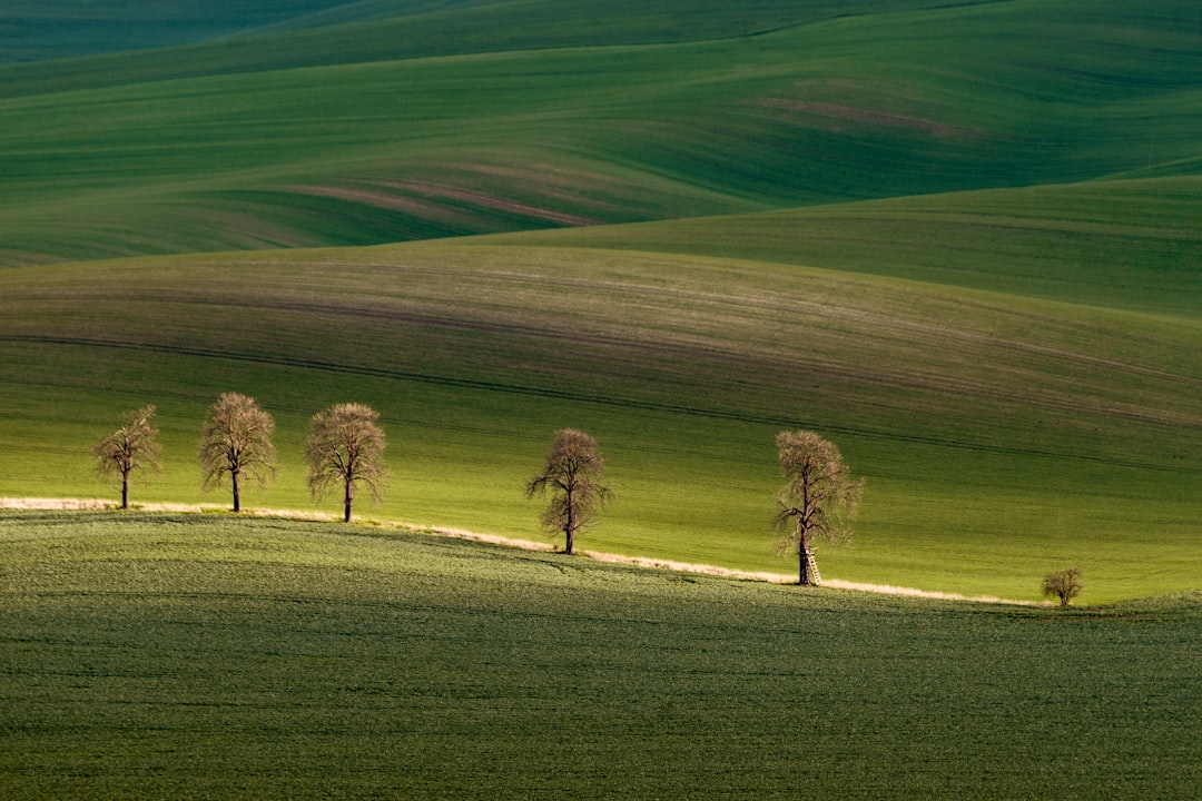 Stay Connected: Your Essential Guide to Getting a Local SIM Card & Data in the Czech Republic