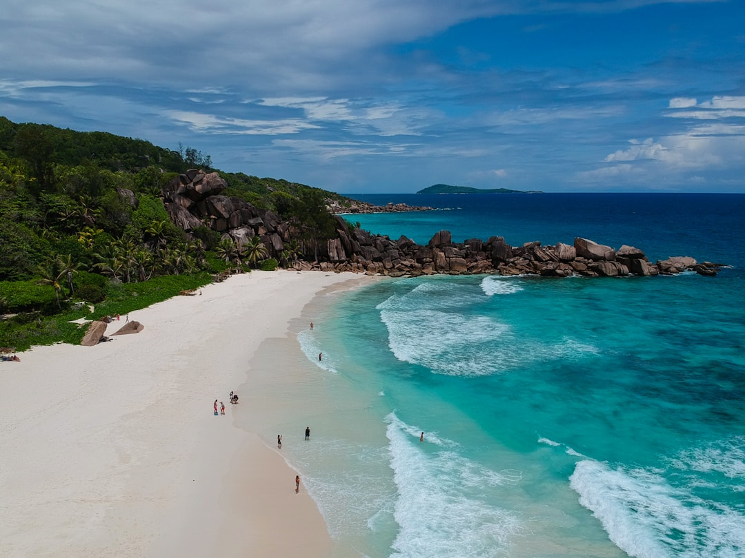 Indulge Your Senses: Discovering Seychelles' Top Local Chocolate Shops