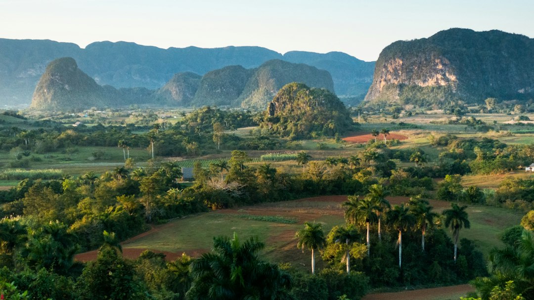 Eating on a Budget in Cuba: Your Ultimate Guide to Saving Money on Food and Drinks