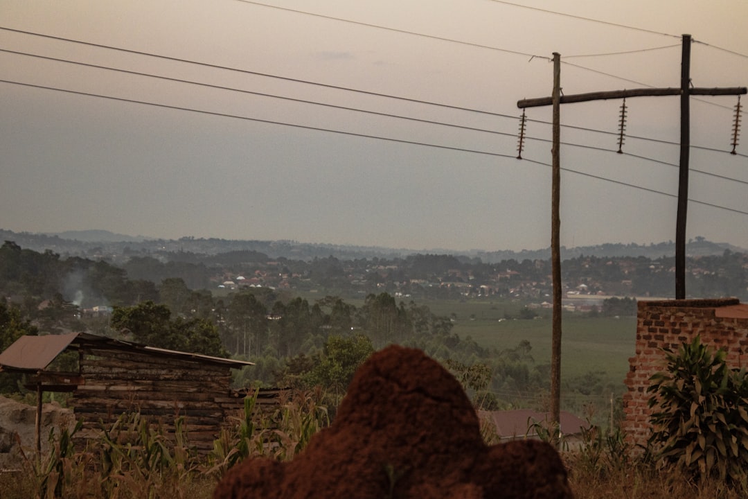Uganda's Liquid Gold: A Comprehensive Guide to Local Drinks & Traditional Spirits
