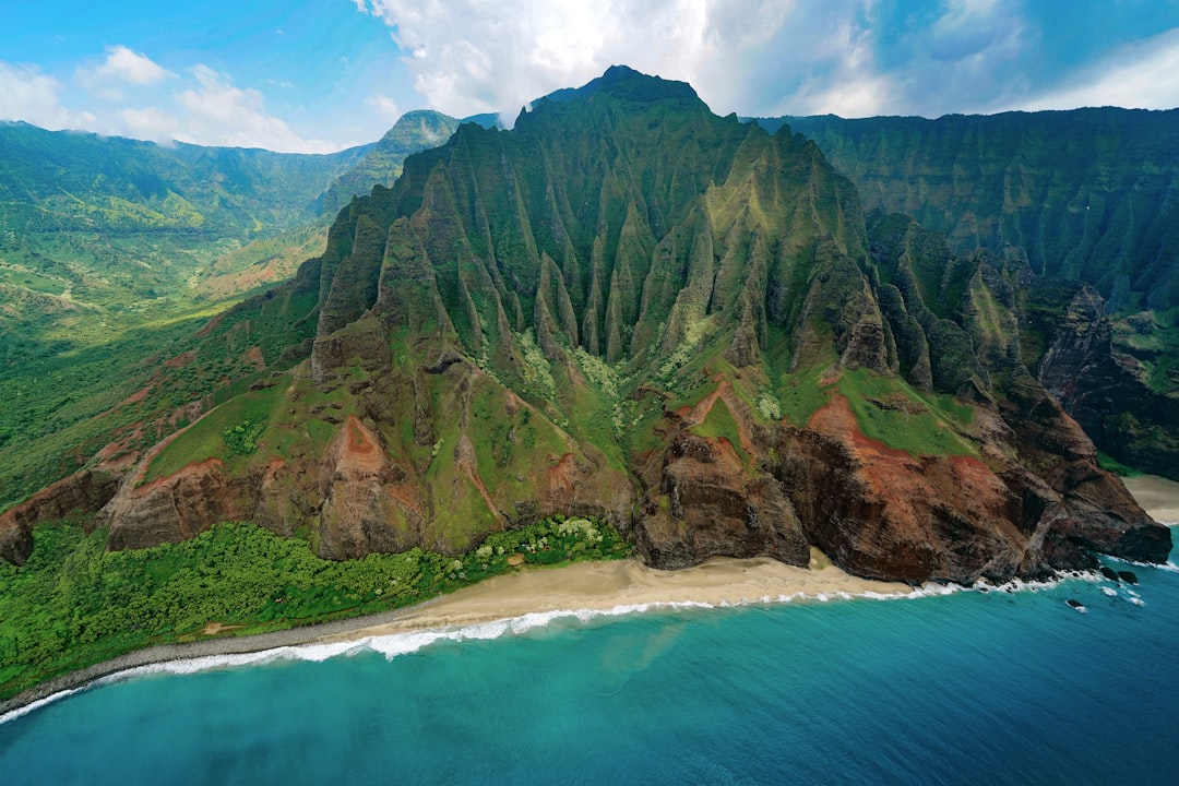 Uncover the Vibrant World of Hawaii Street Art: A Local's Guide to Finding Murals & Public Art