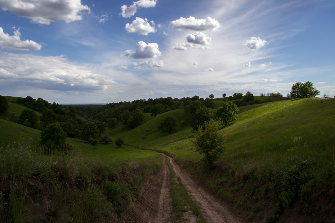 Discover Serbia's Most Breathtaking Picnic Spots