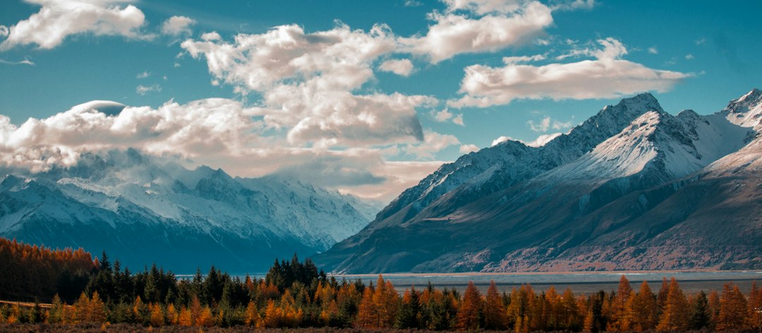 Unwind & Recharge: The Best Silent Retreats Across the CIS for Ultimate Peace