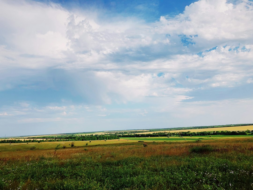 Discover Ukraine's Liquid Gold: Your Ultimate Guide to Traditional Drinks & Spirits