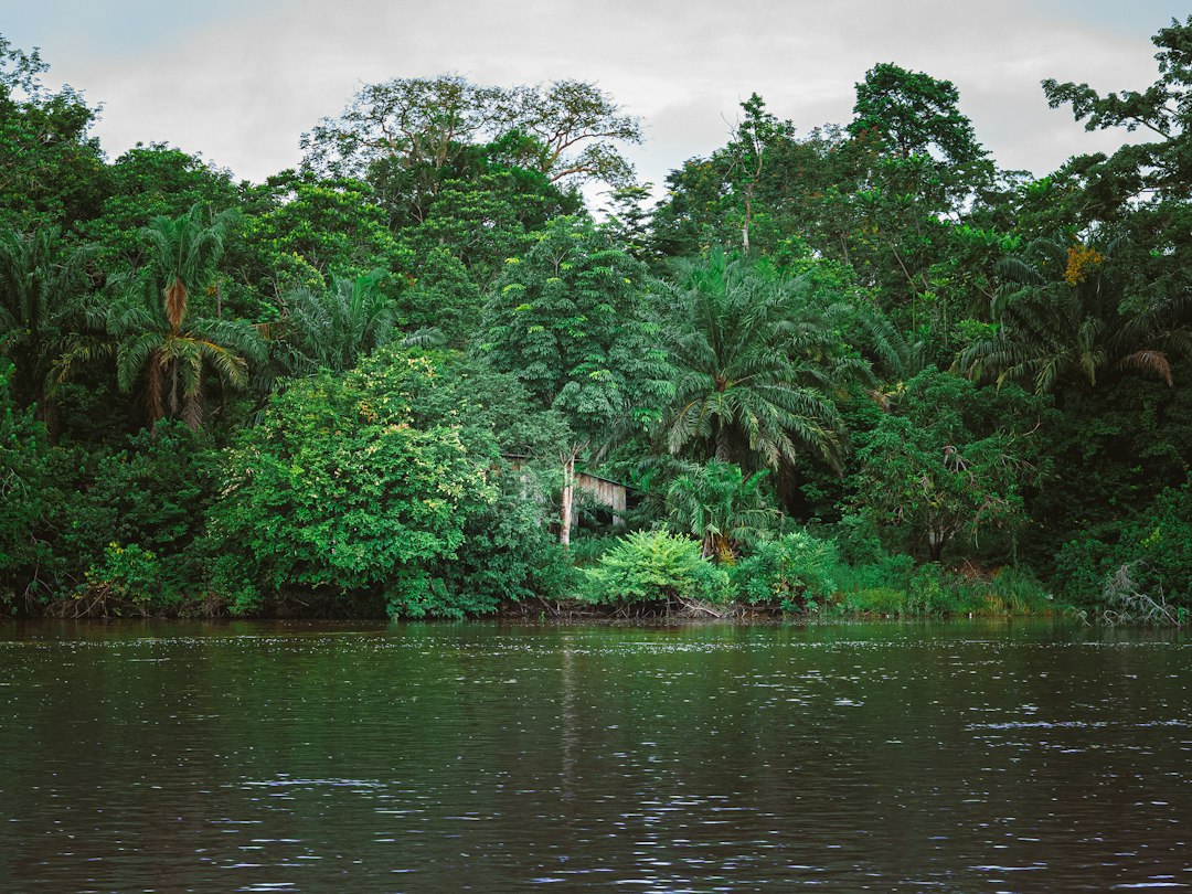 Discover Tranquility: Top Silent Retreats in Gabon for Ultimate Peace