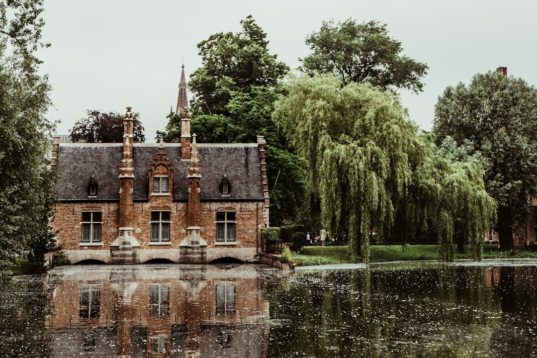 Navigating Belgian Higher Education: A Guide to Top Universities & Schools