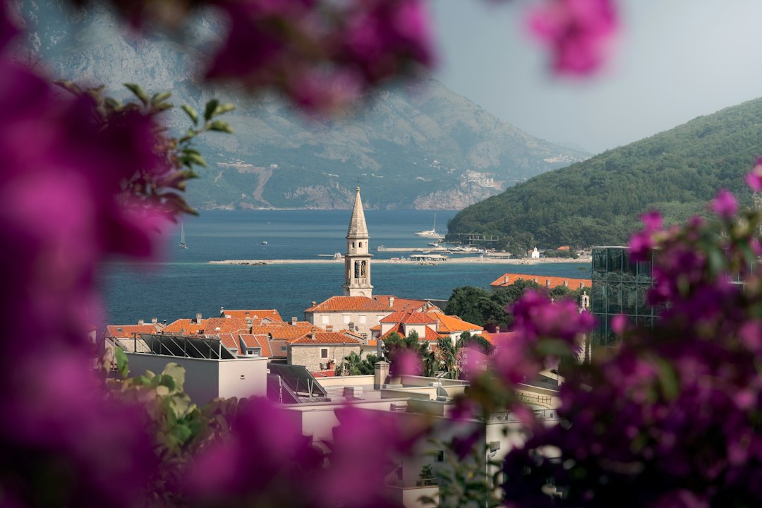 Navigating Money in Montenegro: Your Essential Guide to Currency Exchange & Payments