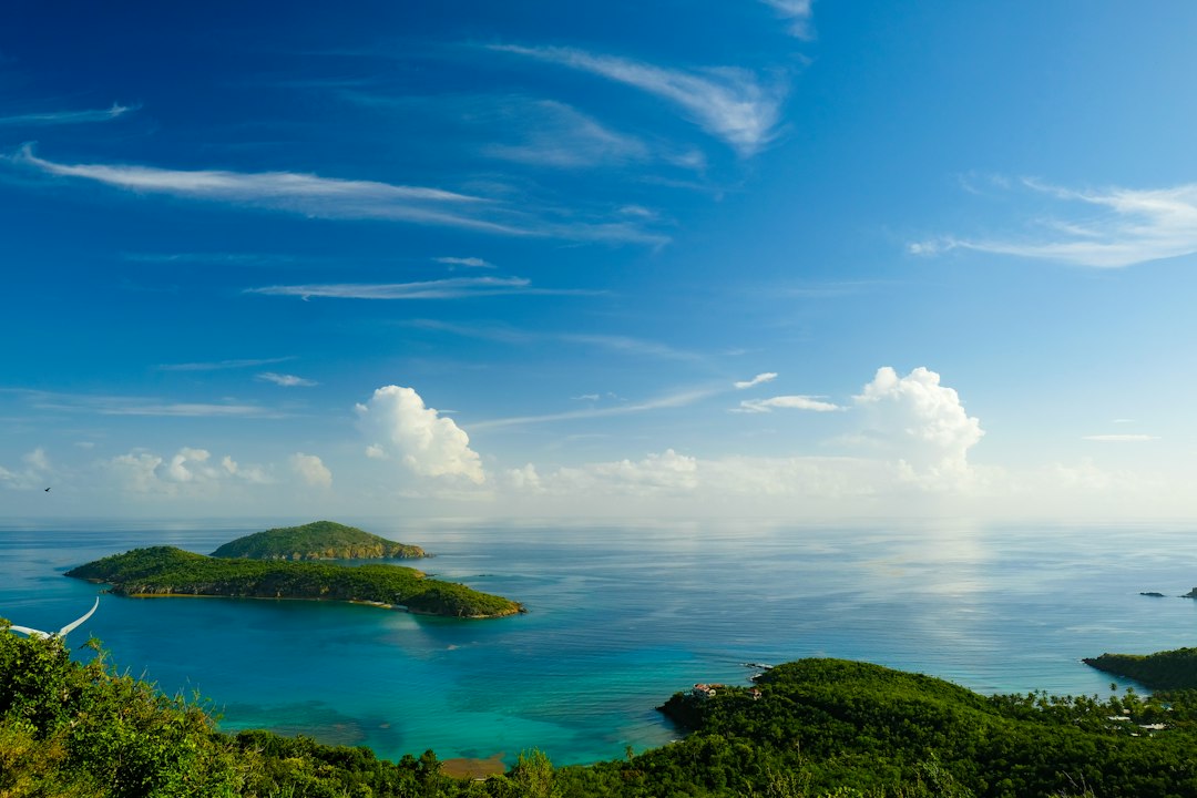 Unveiling the Rhythmic Soul: A Journey Through Traditional Caribbean Music & Dance